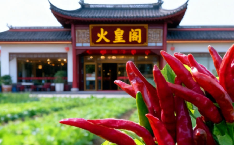 火皇阁 · 发展历程