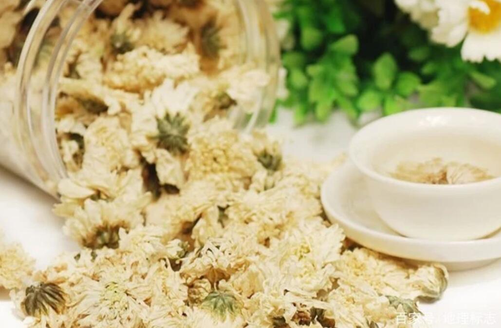 周口本地原生白菊花，4步制成菊花茶