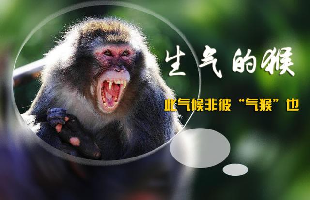 破解神话还原史实：孙悟空的原型，水怪无支祁的来历