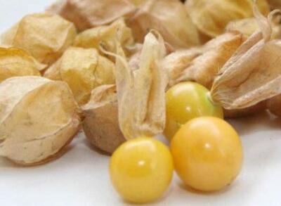 它是豫东平原的美味，神话传说中的绛珠仙草