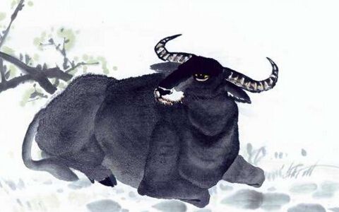 《志异天书》人和动物寿限的来历