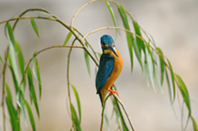 奇门解梦基础知识 纳音理论