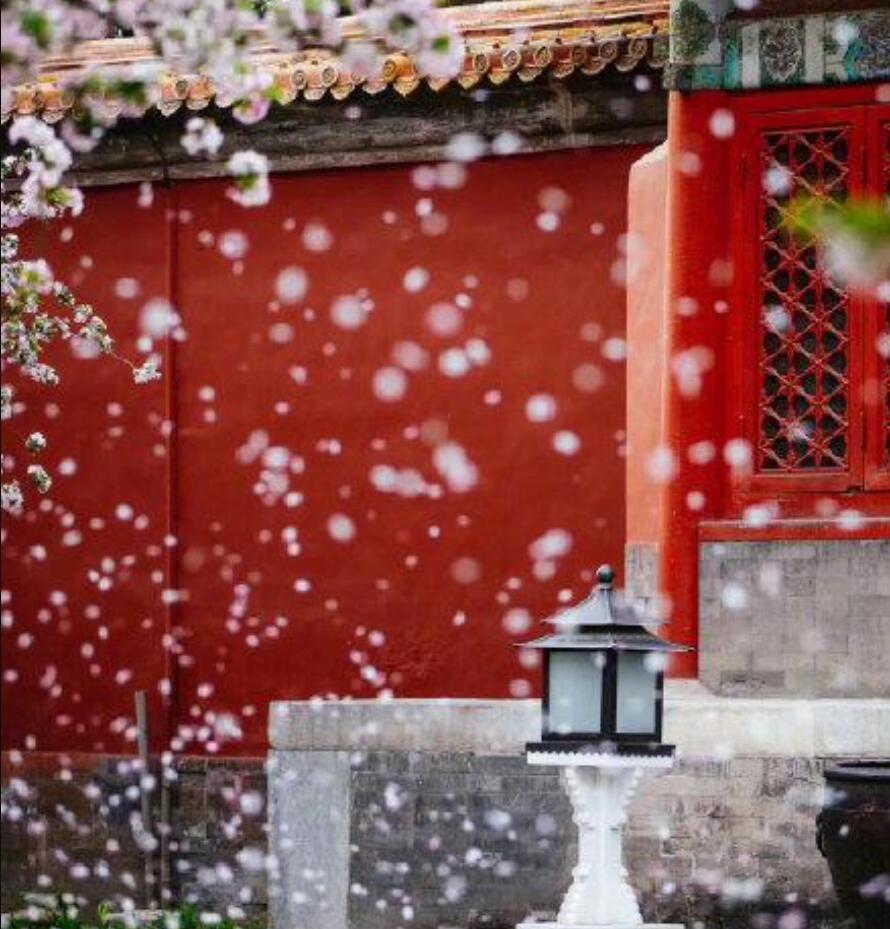 鹿苑寺 - 周世宗灭佛