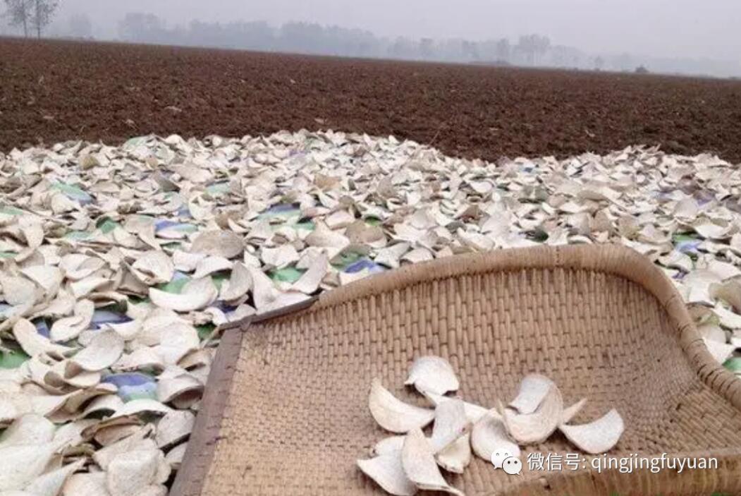 老物件的记忆：红薯推子