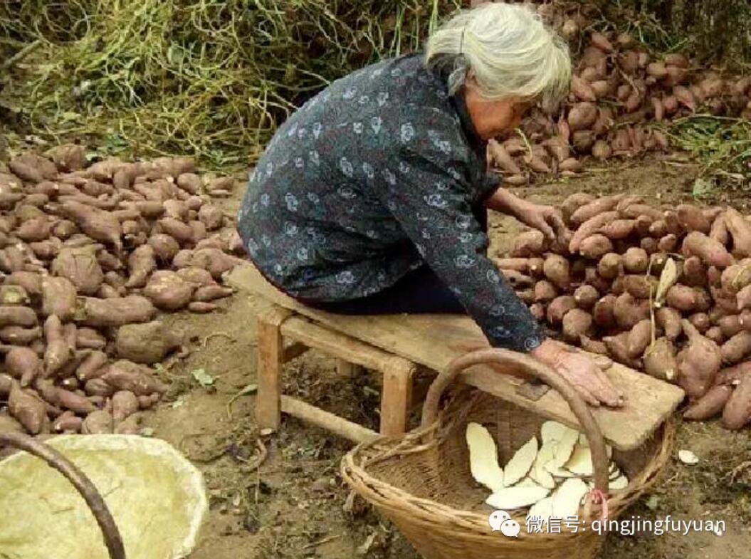 老物件的记忆：红薯推子