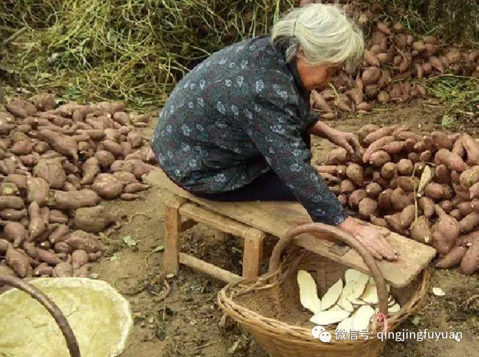 老物件的记忆：红薯推子