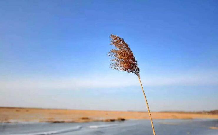 寒衣节的来历（祭祖节的来历）：十月初一上坟的传说