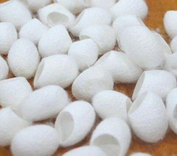 《山海经》中的“帝江”到底是什么？