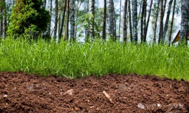 八字神煞详解，为什么甲木遇丑未为天乙贵人？