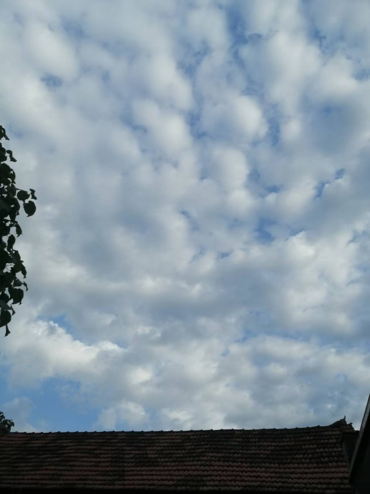 什么？三伏天抓紧晒太阳！不是在开玩笑吗？