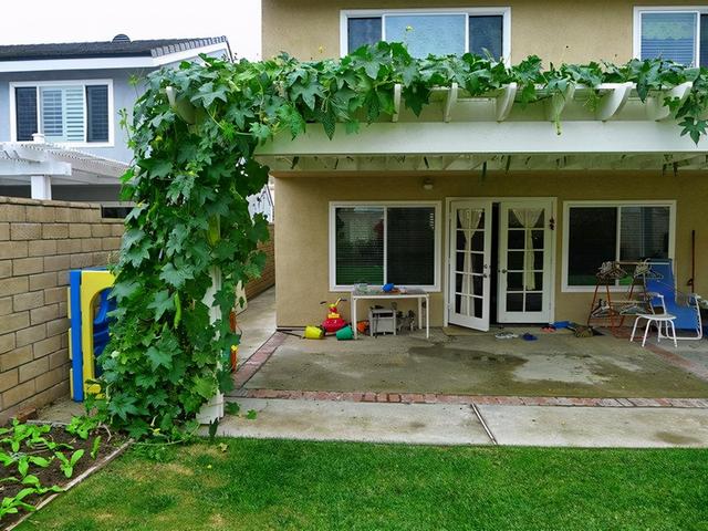 农家院子，穷装素颜生活也可以过成诗