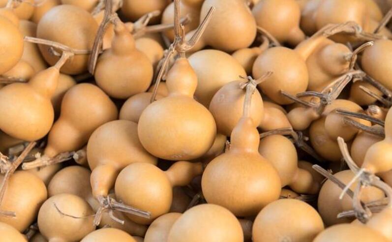 金钱吊葫芦，准主福禄寿