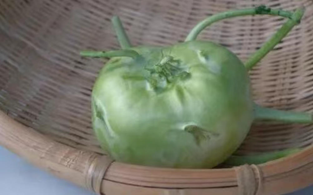 辣疙瘩 苤拉 傻傻分不清，植物专家教你来辨认