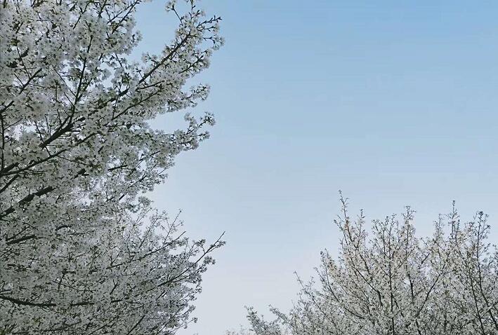 明清奇案：乌纱帽鸣冤告暗状，蔡知县奇谋慰冤魂