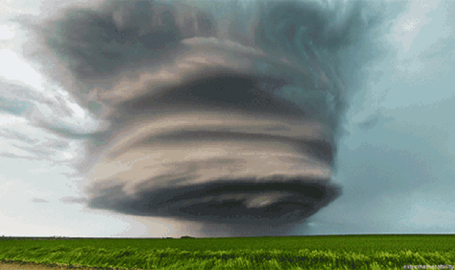 死后100天，旱魃的传说2