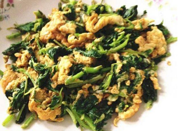 紫苏和藿香是个宝,但却傻傻分不清?资深吃货为你详解它们的吃法