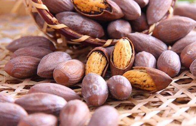 堪比天价洋水果，香榧果是怎么变成坚果之王的？