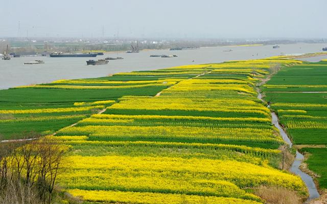禹都阳城-周口市商水县