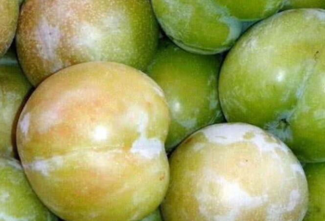 最酸的几种水果，脾胃不好的还是少吃为妙！