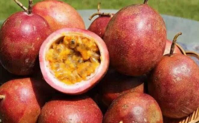 最酸的几种水果，脾胃不好的还是少吃为妙！